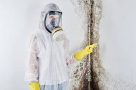 Best Environmental Consulting for Mold Prevention  in Weldon, CA